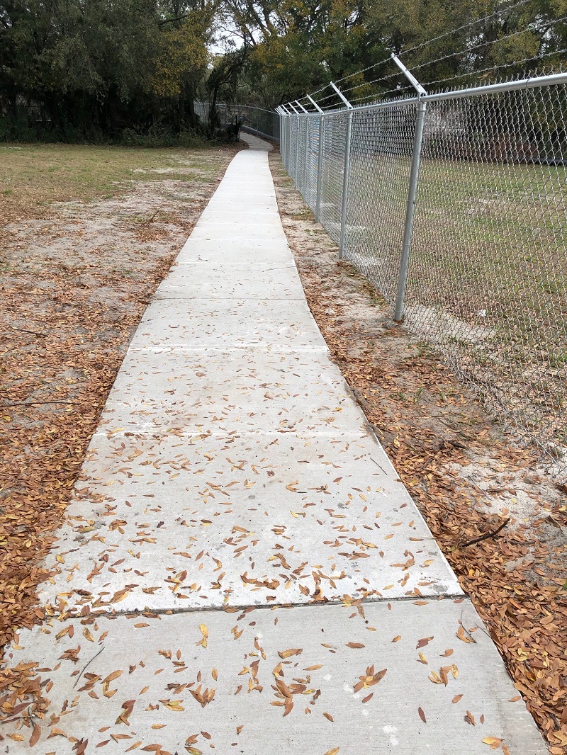 Buckman SIP Progress Photo - Pedestrian Bridge 2